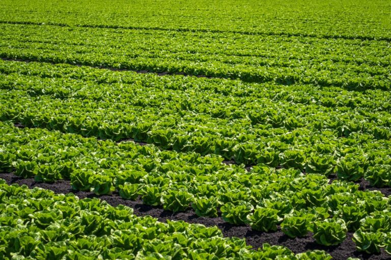 organic farming supplies