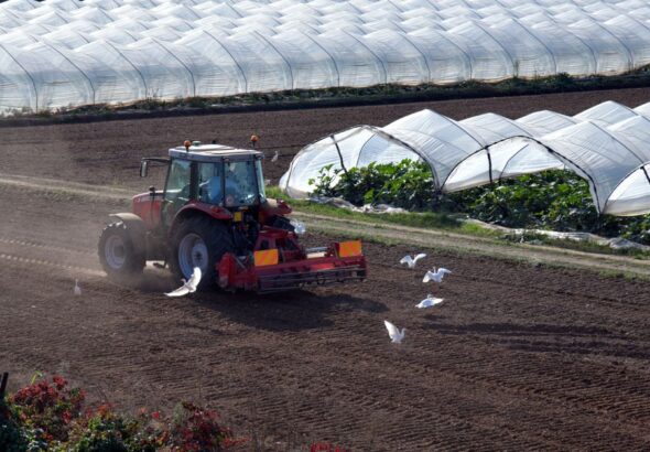 greenhouse equipment