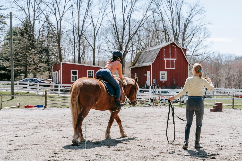 horse riding lessons